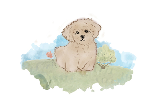 illustration